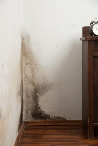 Cómo Sacar el Moho de la Pared: Soluciones Caseras que Funcionan image